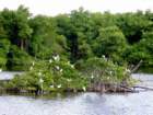 p3130025_small.jpg
