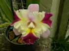 p3130251_small.jpg